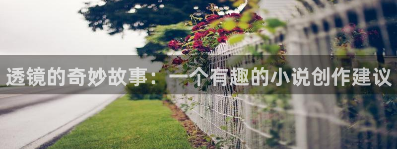 80奇书网txt小说网站：透镜的奇妙故事：一个有趣的小说创作建议