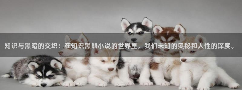 宇宙职业选手txt奇书网：知识与黑暗的交织：在知识黑熊小说的世界里，我们未知的奥秘和人性的深度。