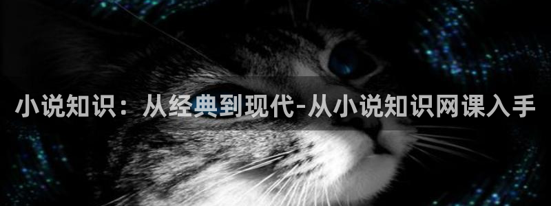 深空彼岸txt奇书网：小说知识：从经典到现代-从小说知识网课入手