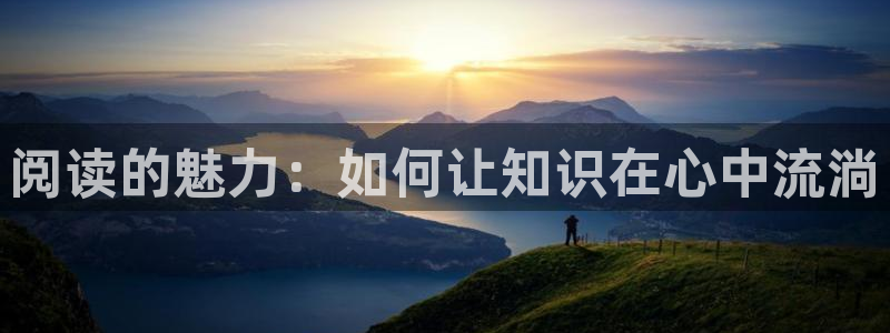 奇书网现在是哪个