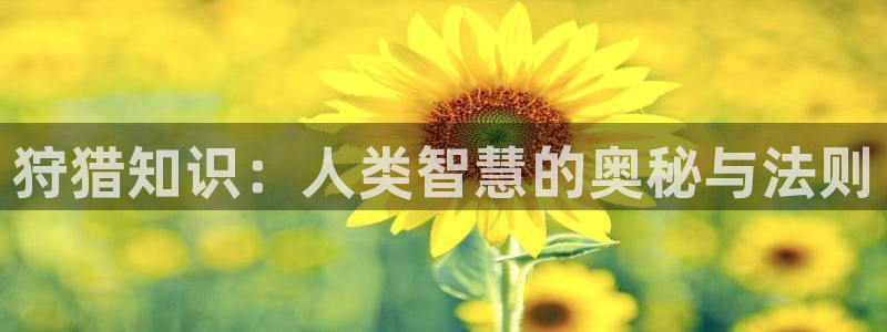 天之下txt奇书网：狩猎知识：人类智慧的奥秘与法则