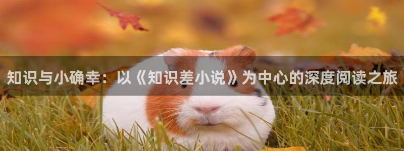 狼牙兵王txt奇书网：知识与小确幸：以《知识差小说》为中心的深度阅读之旅